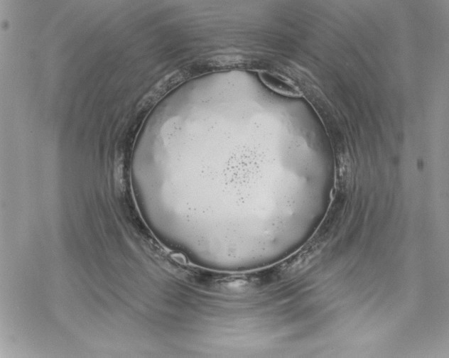 X0000069380267200606021614