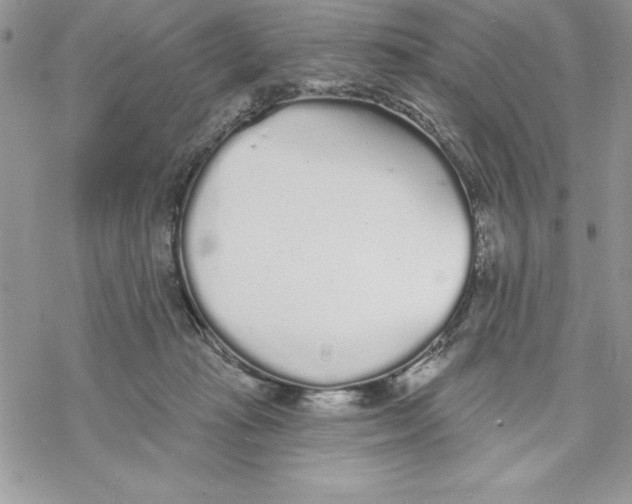 X0000069380269200606021614