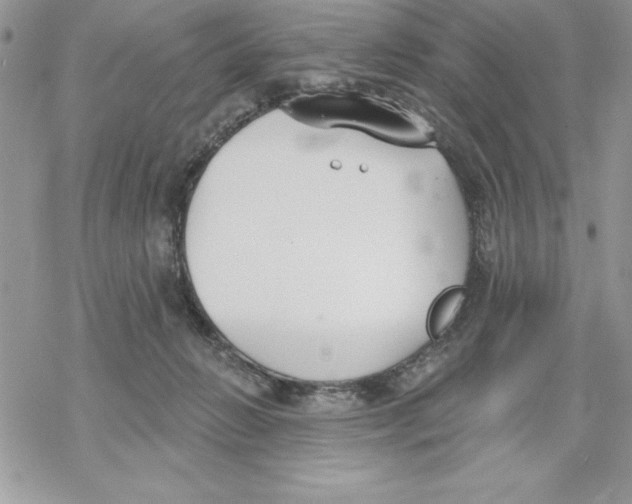 X0000069380270200606021614