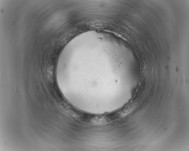 X0000069380271200606021614