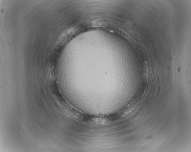 X0000069380272200606021614