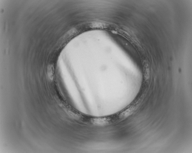 X0000069380273200606021614