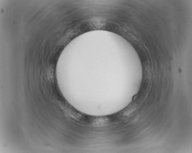 X0000069380274200606021614