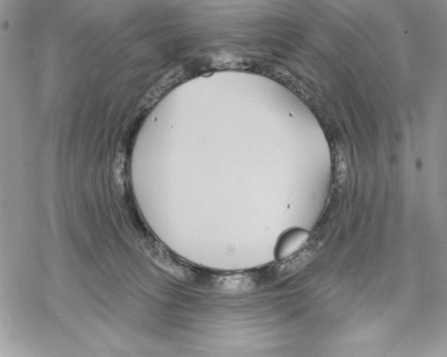 X0000069380275200606021614