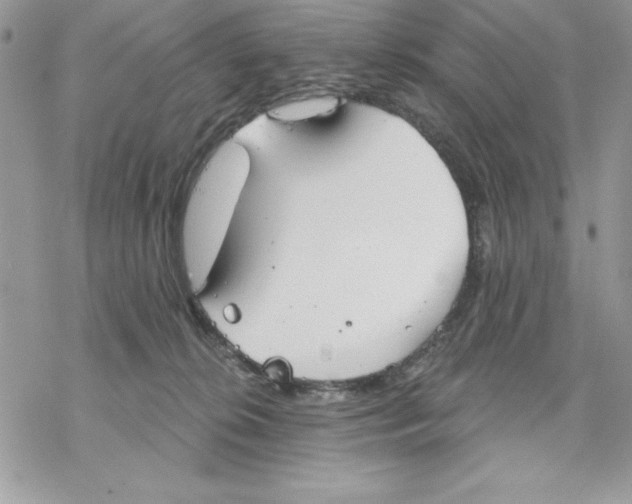 X0000069380276200606021614