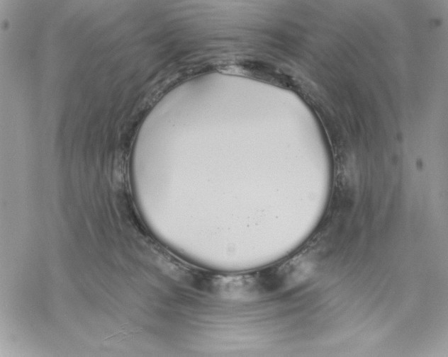 X0000069380277200606021614