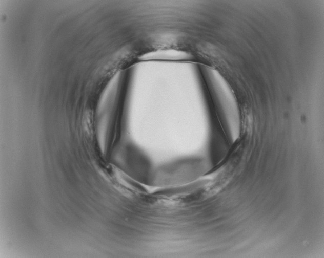 X0000069380280200606021614