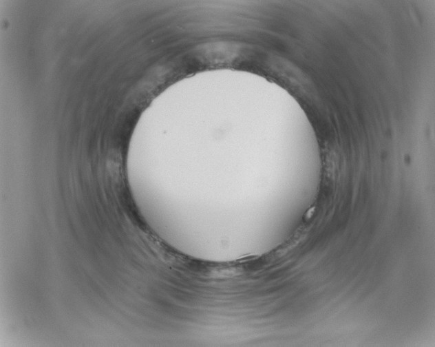 X0000069380283200606021614