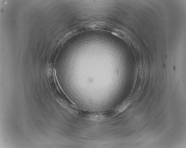 X0000069380284200606021614