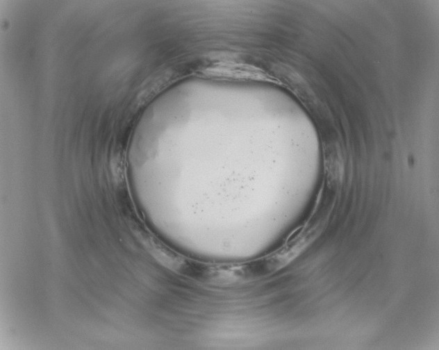 X0000069380285200606021614