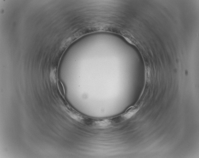 X0000069380286200606021614