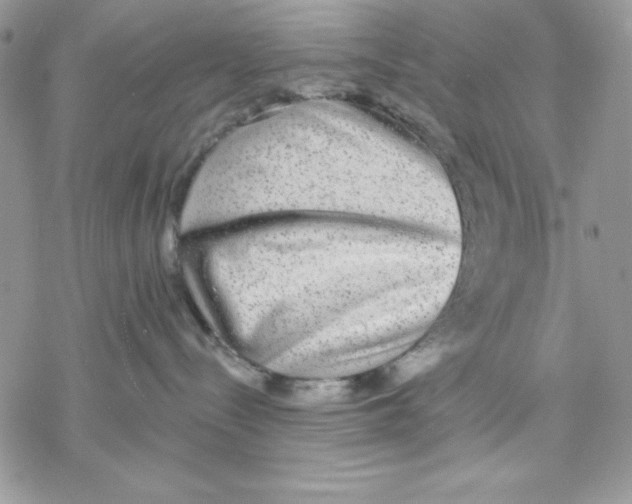 X0000069380288200606021614