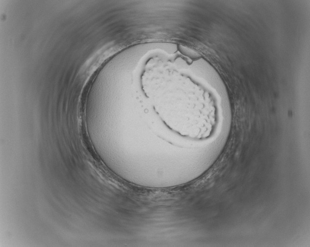 X0000069380290200606021614