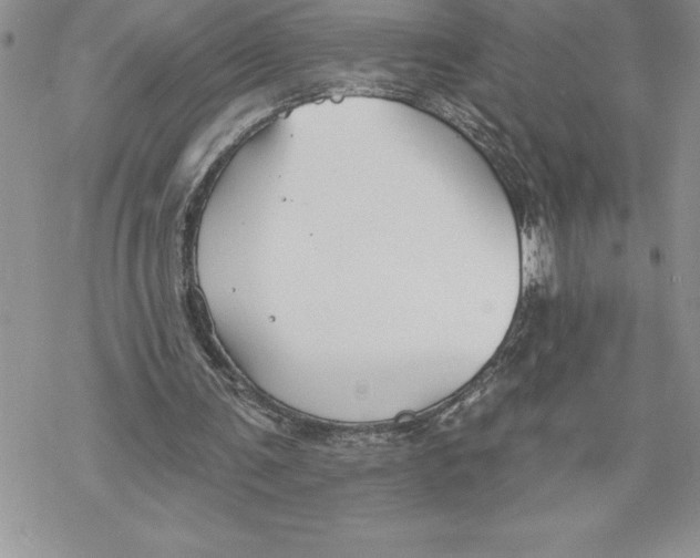 X0000069380291200606021614