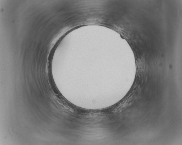 X0000069380292200606021614