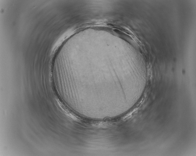 X0000069380293200606021614