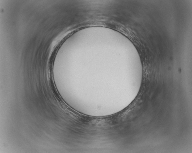 X0000069380294200606021614