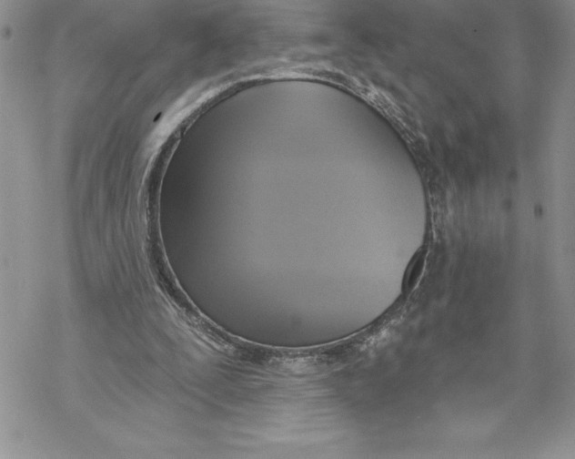 X0000069380295200606021613