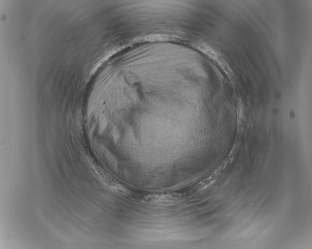 X0000069380297200606021613