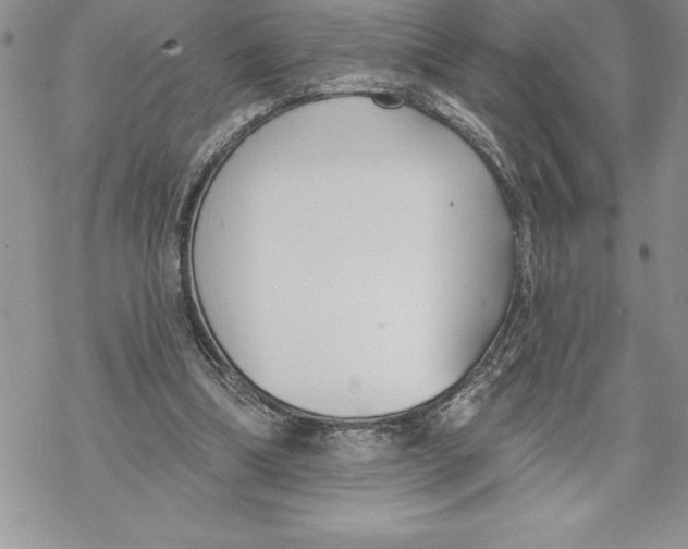 X0000069380298200606021613