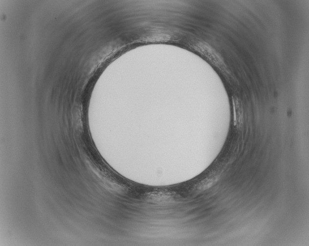 X0000069380300200606021613