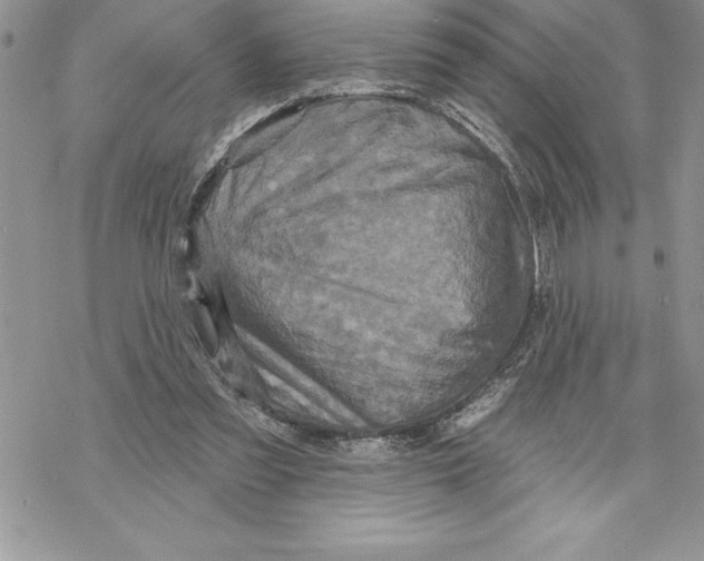 X0000069380301200606021613