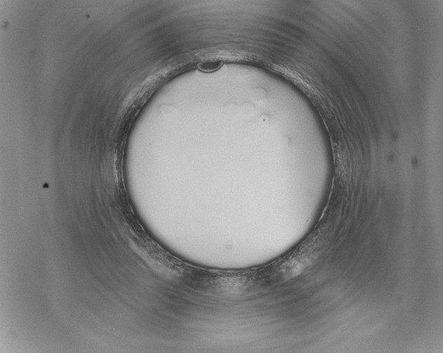 X0000069380302200606021613