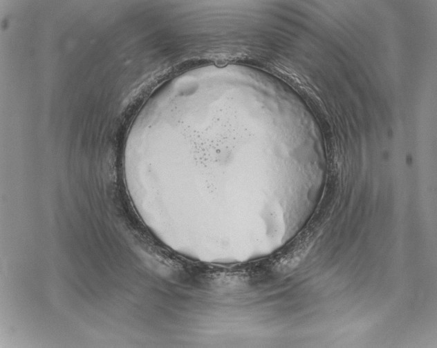 X0000069380303200606021613