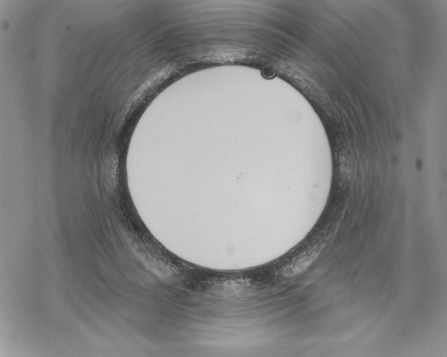 X0000069380304200606021613