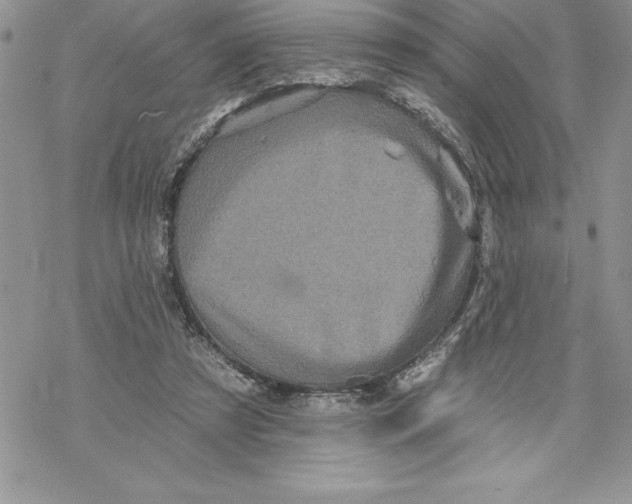 X0000069380305200606021613