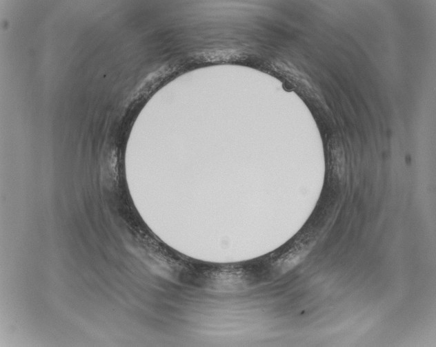 X0000069380308200606021613