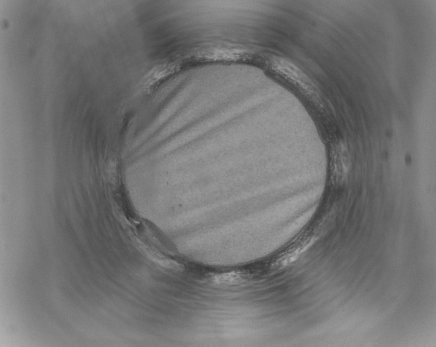 X0000069380309200606021613