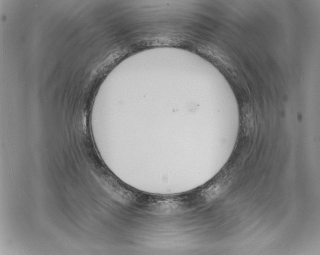 X0000069380310200606021613