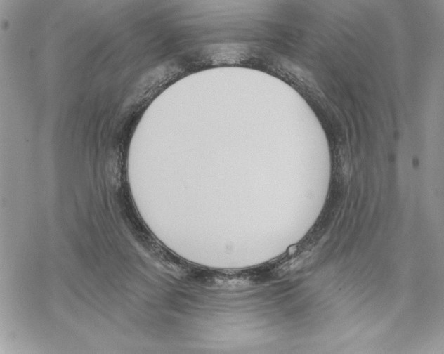 X0000069380311200606021613