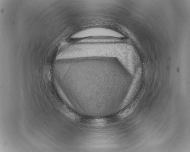 X0000069380313200606021613