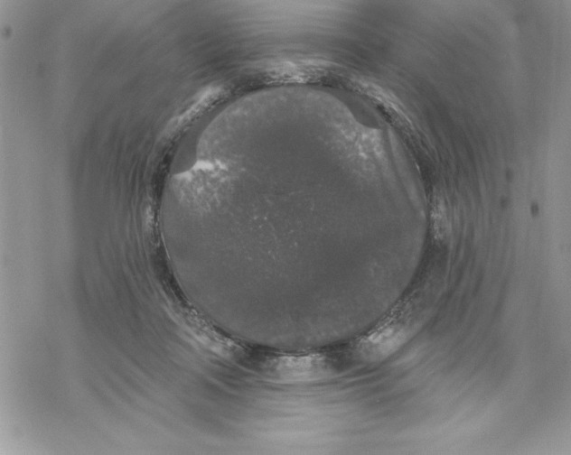 X0000069380314200606021613