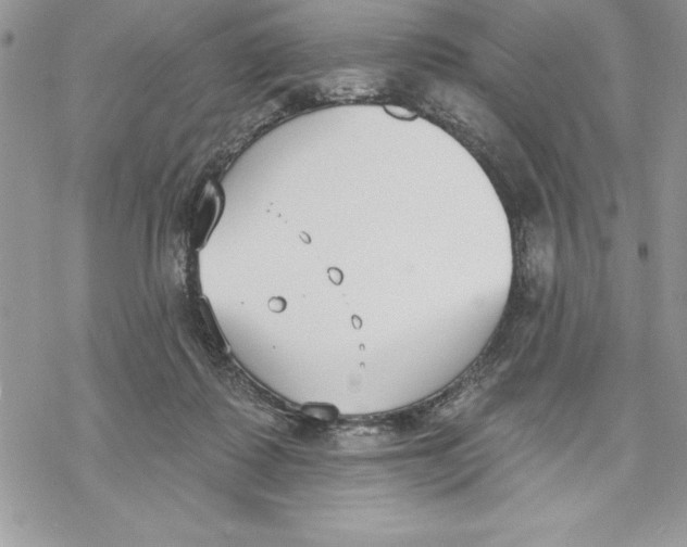 X0000069380315200606021613