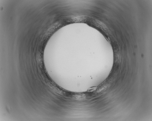 X0000069380317200606021613