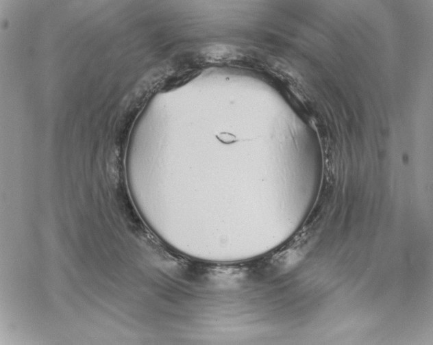 X0000069380319200606021613