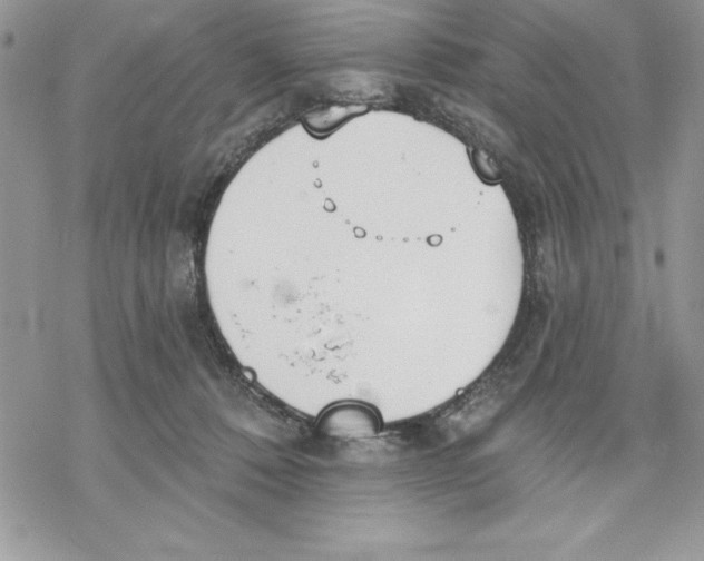 X0000069380320200606021613