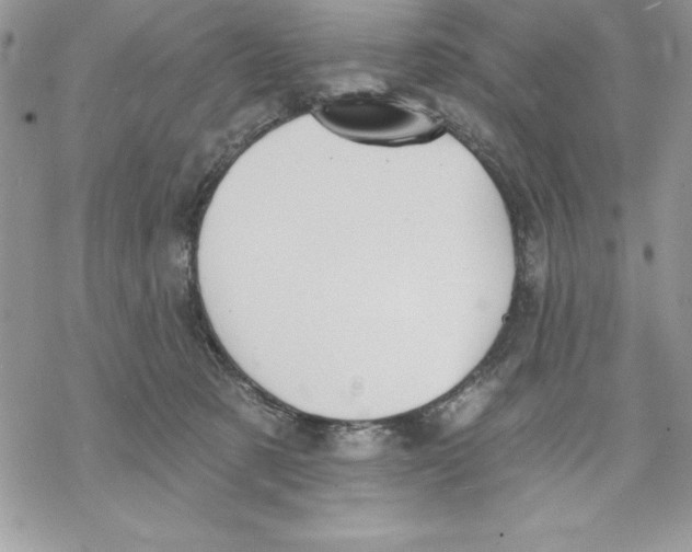 X0000069380321200606021613