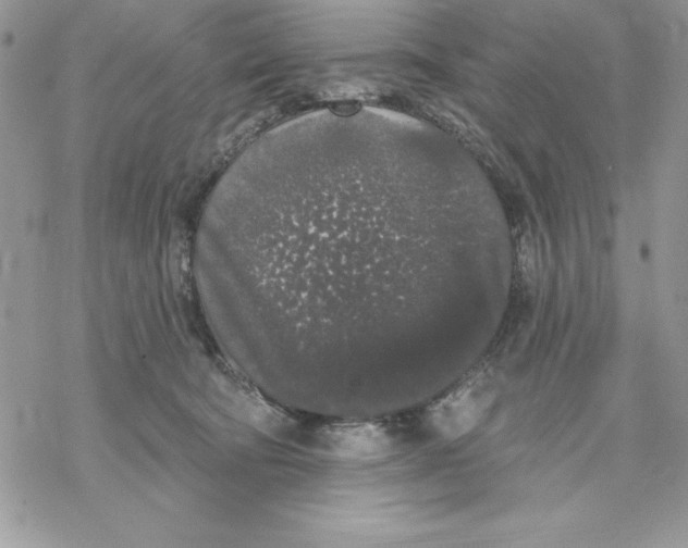 X0000069380322200606021613