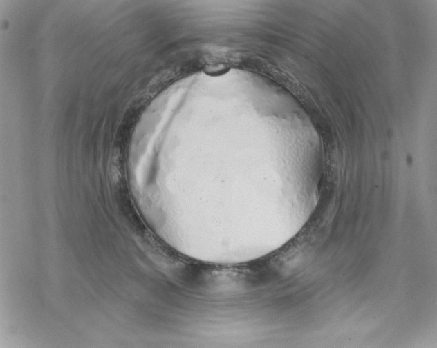 X0000069380323200606021613