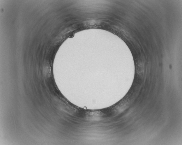 X0000069380324200606021613