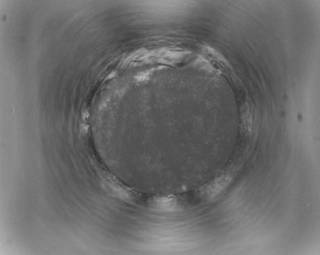 X0000069380325200606021613