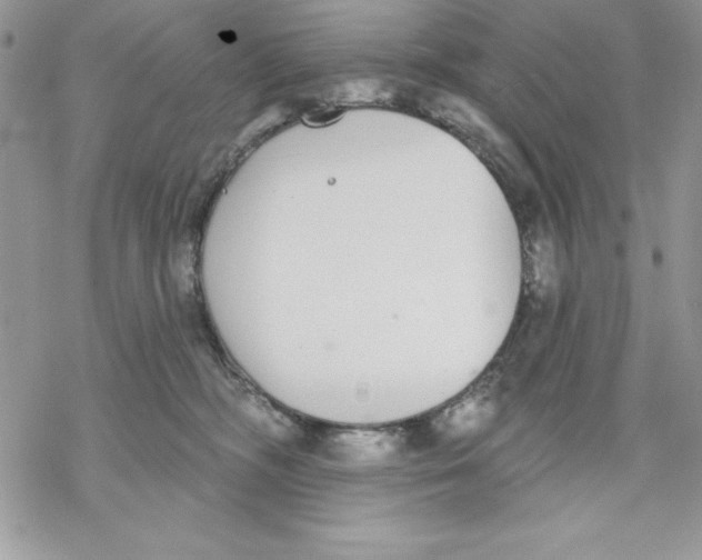 X0000069380326200606021613