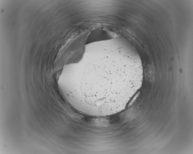 X0000069380327200606021613