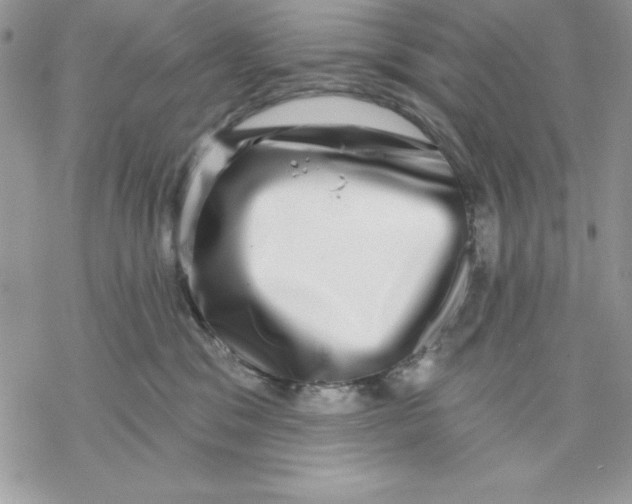 X0000069380329200606021613