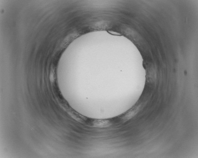 X0000069380334200606021613