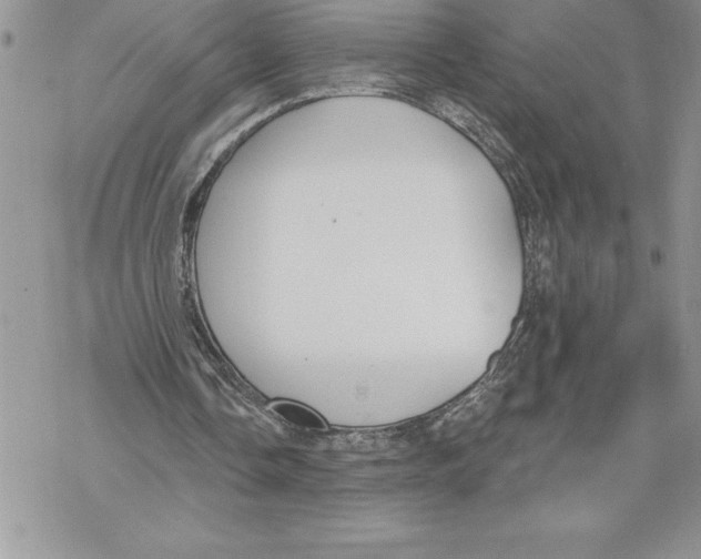 X0000069380338200606021612